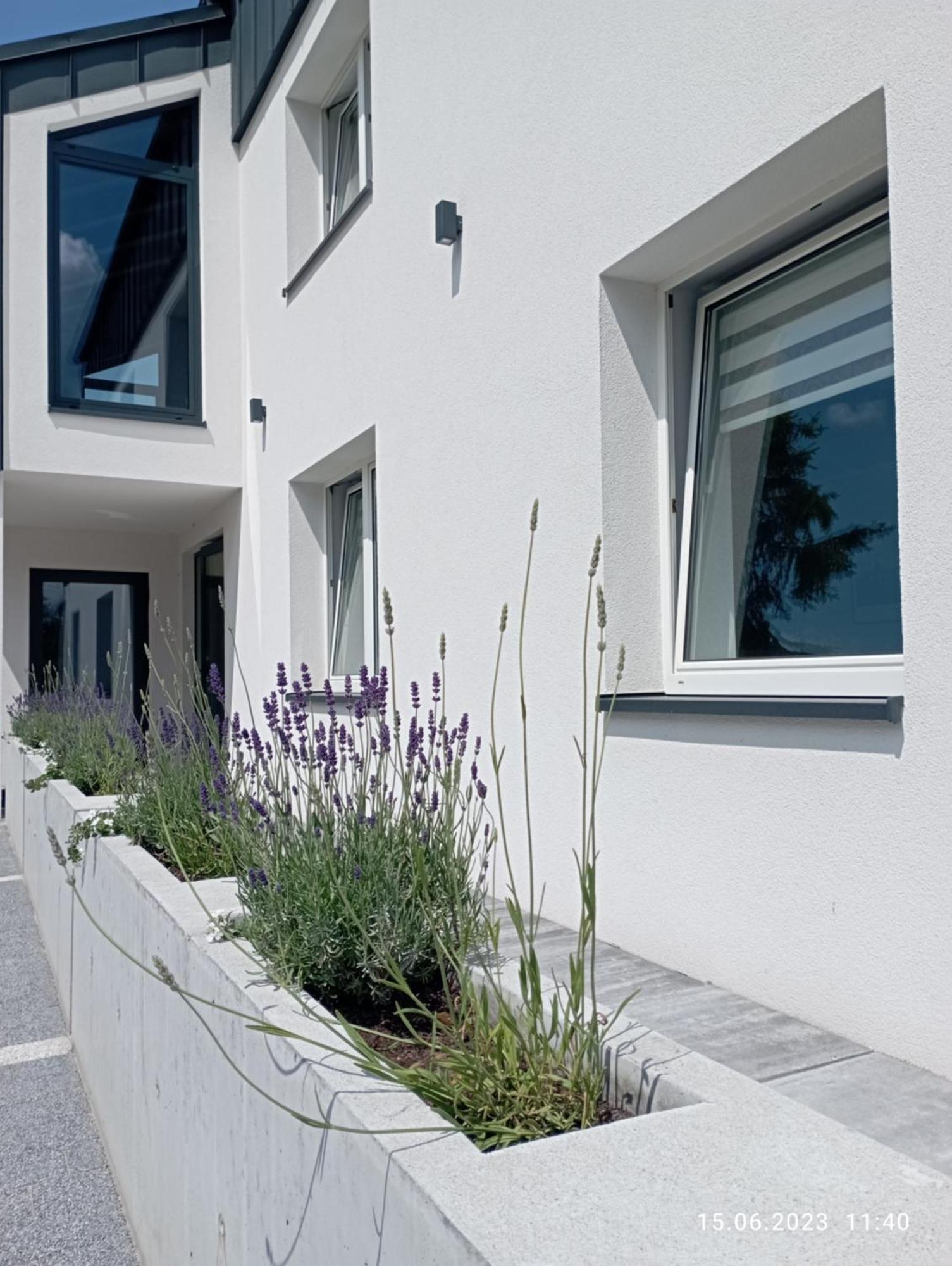 Studio 102 Bachowice Exterior photo